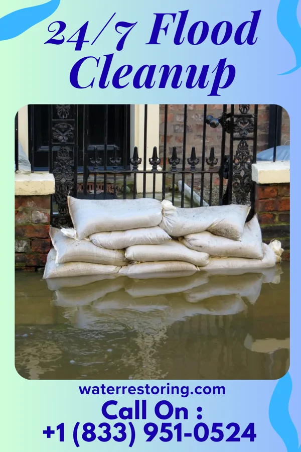 24/7 Flood Cleanup in Greenwood, IL