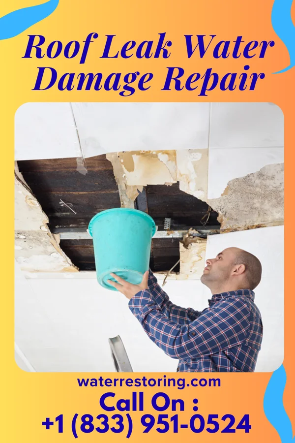 Roof Leak Water Damage Repair in Greenwood, IL